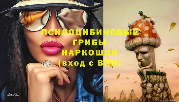 трава Мегион