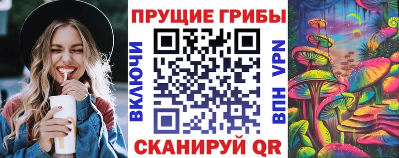 Псилоцибиновые грибы мухоморы  где купить наркоту  Новоалтайск 