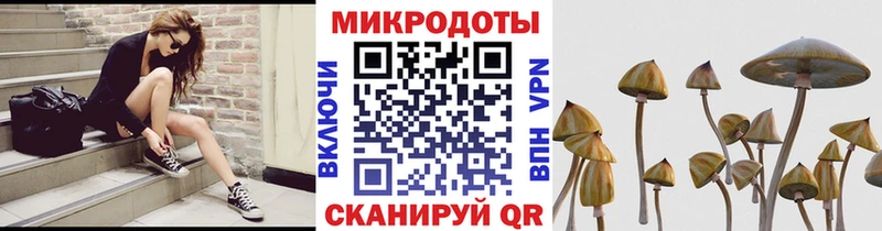 Галлюциногенные грибы мухоморы Новоалтайск
