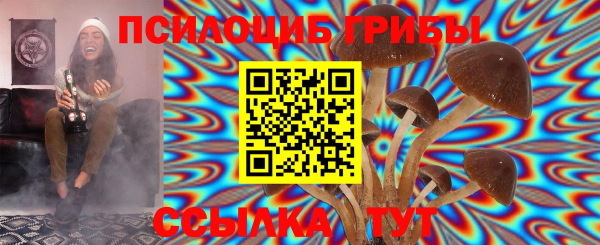 Новоалтайск  Галлюциногенные грибы MAGIC MUSHROOMS  Вход с VPN 